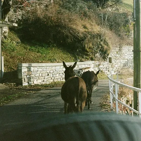 Ca' Bossi Cernobbio